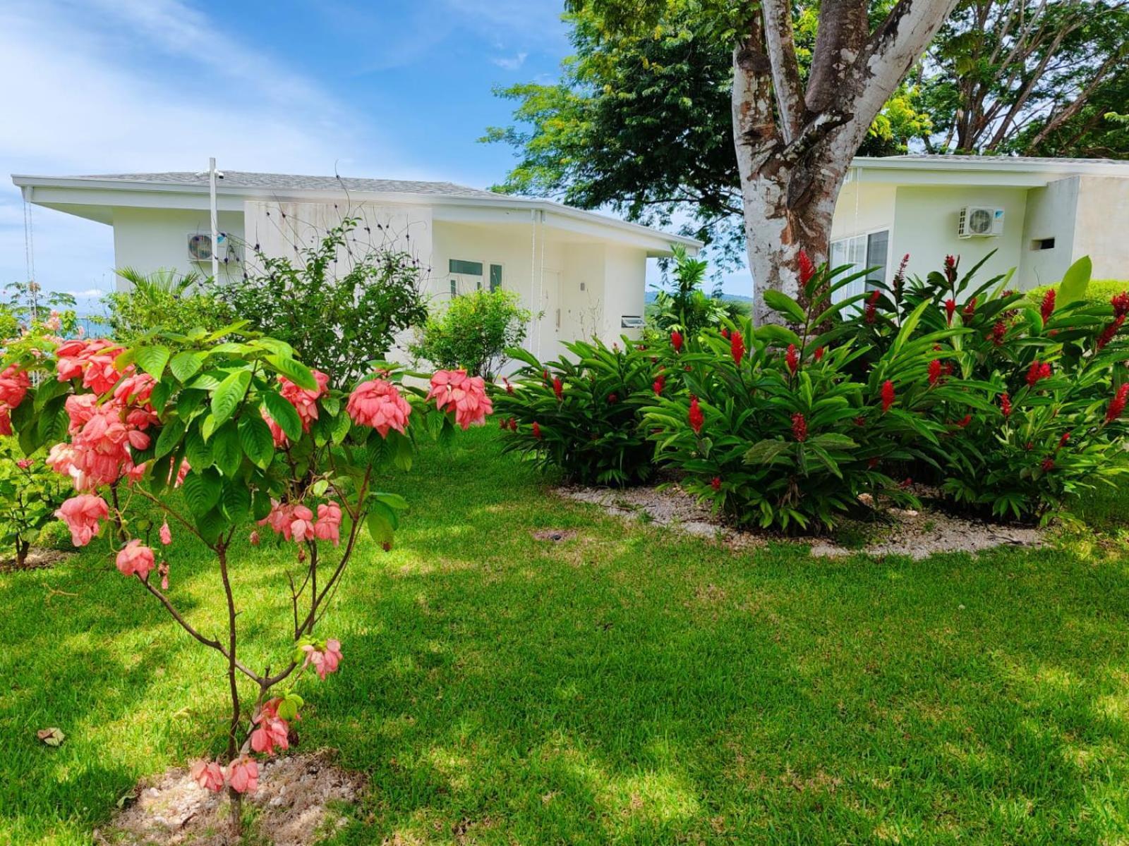 Adeluna Luxury Villas Montezuma Bagian luar foto